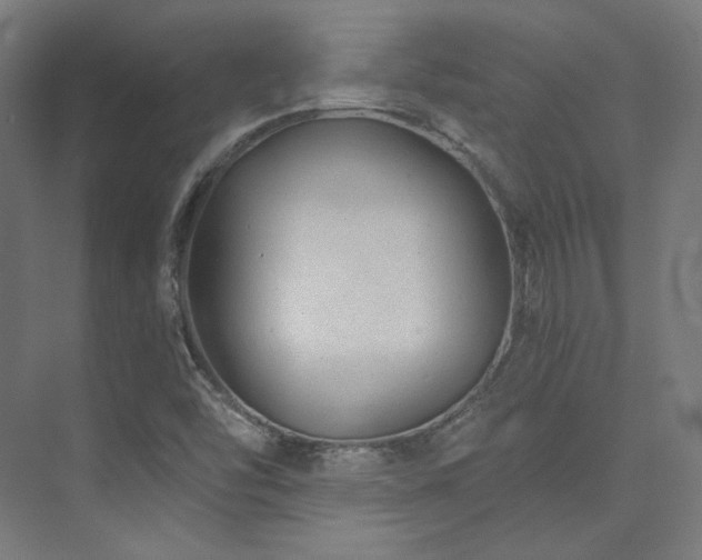 X0000074041454200608211506
