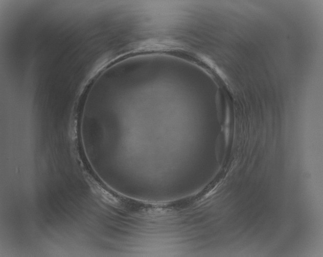 X0000074041459200608211506