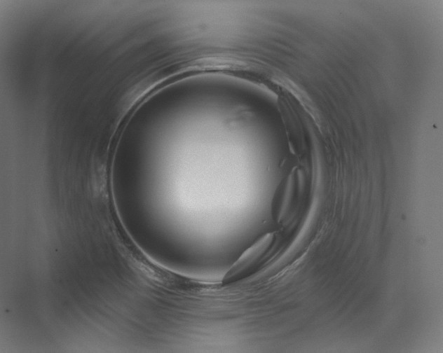 X0000074041465200608211506