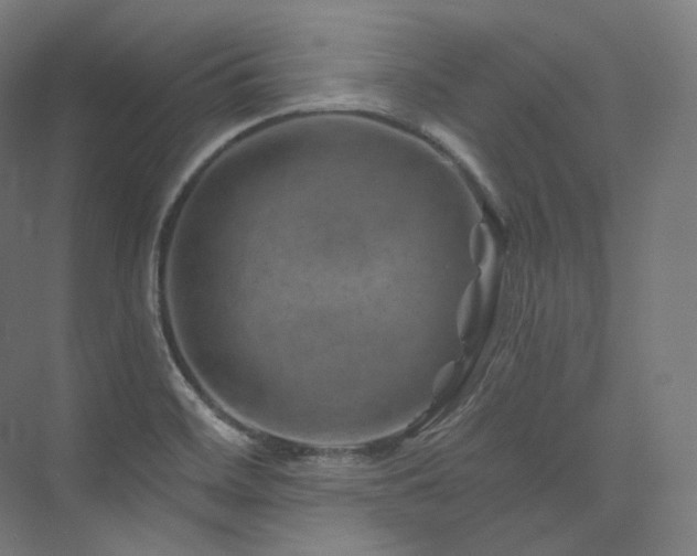 X0000074041468200608211506
