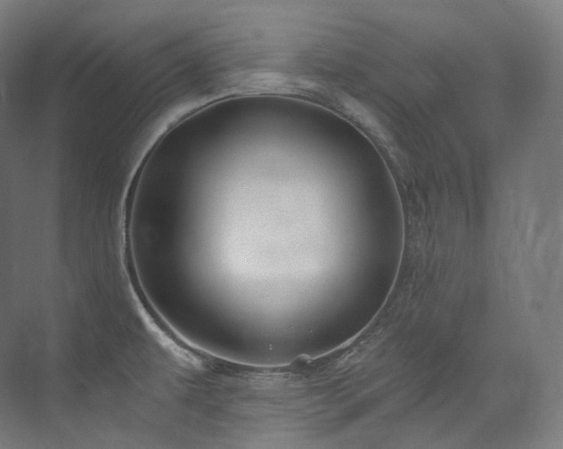 X0000074041479200608211505