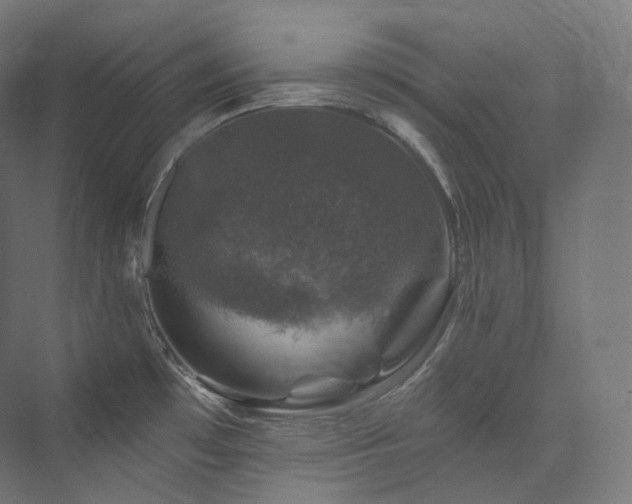 X0000074041481200608211505