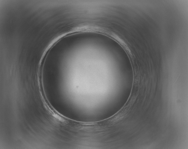 X0000074041486200608211505