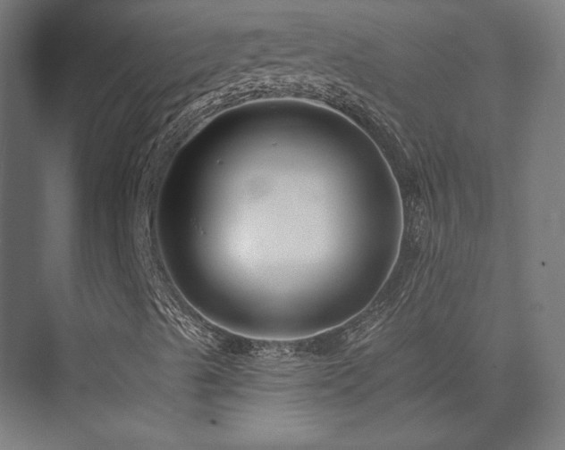 X0000074041489200608211504