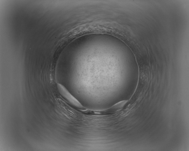 X0000074041490200608211504