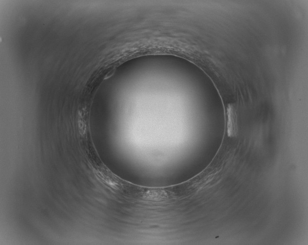 X0000074041491200608211504