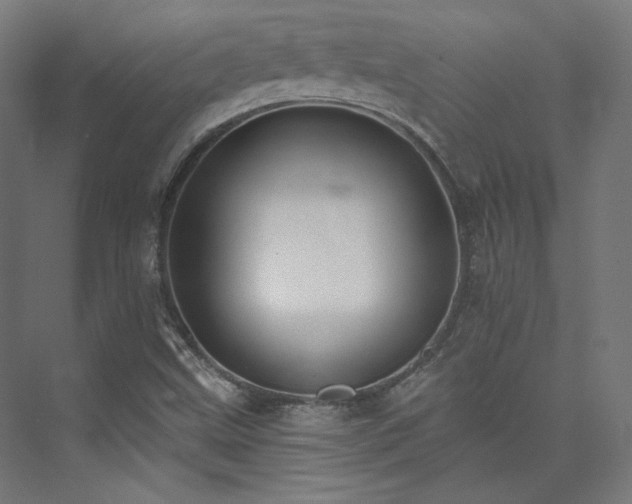 X0000074041499200608211505