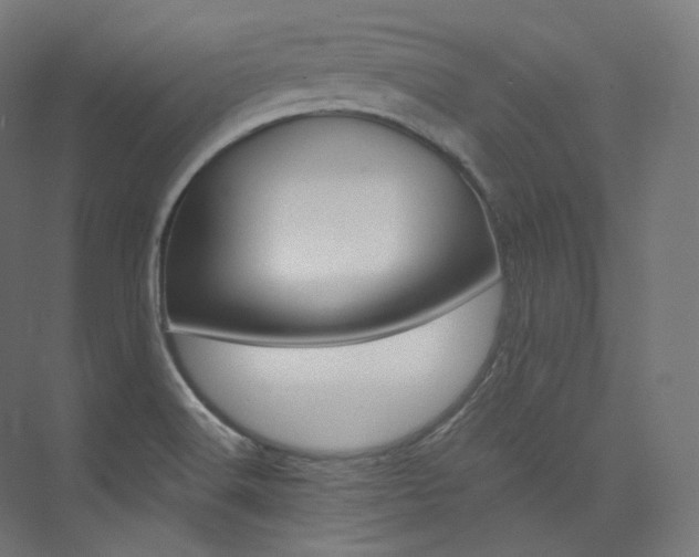 X0000074041516200608211505