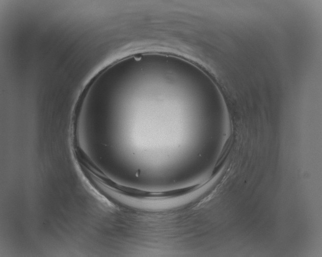 X0000074041518200608211505