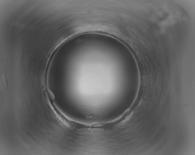 X0000074041521200608211505