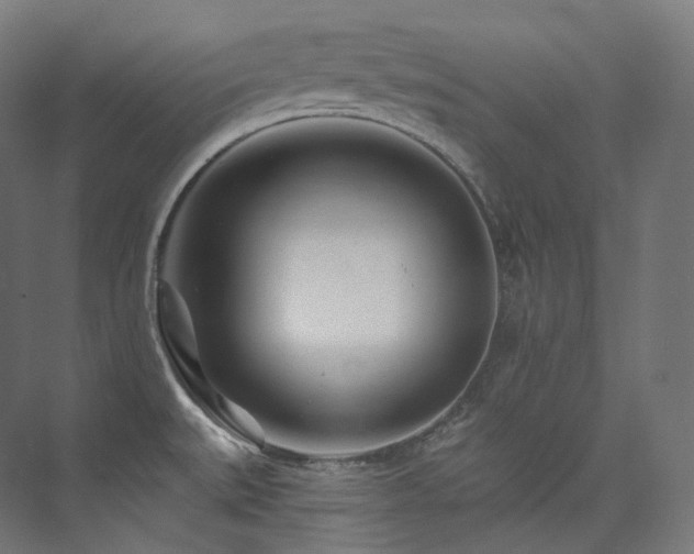 X0000074041527200608211505