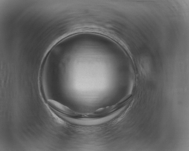 X0000074041533200608211505