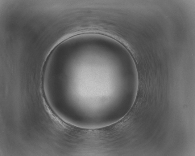 X0000074041534200608211505