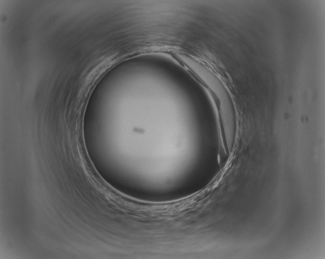 X0000074040001200608281456