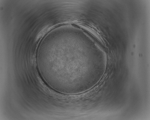 X0000074040002200608281456