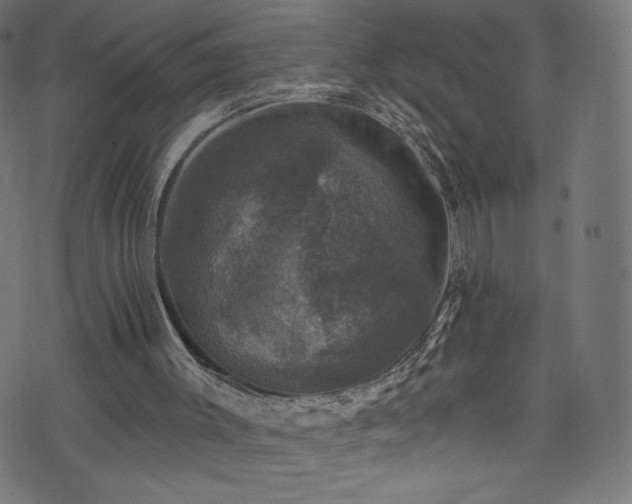 X0000074040003200608281456