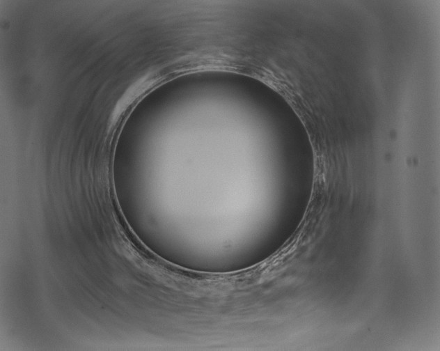 X0000074040004200608281456