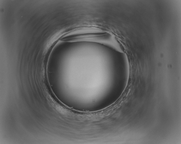 X0000074040005200608281456