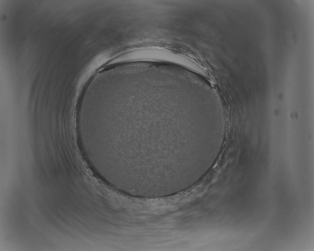 X0000074040006200608281456