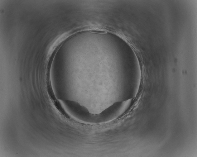 X0000074040007200608281456