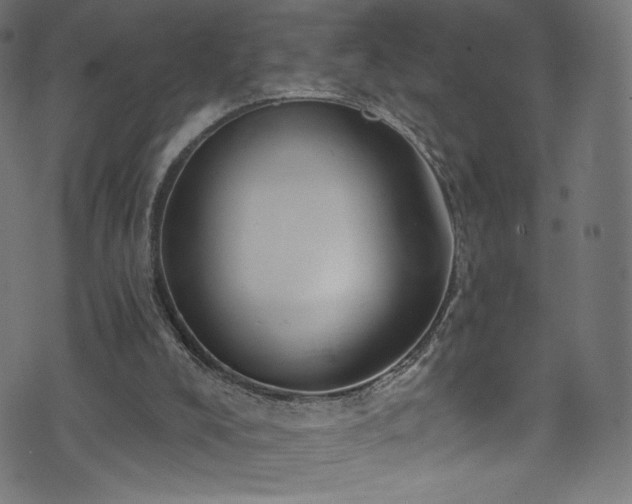 X0000074040008200608281456