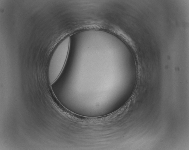 X0000074040009200608281456