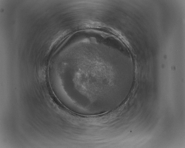 X0000074040010200608281456