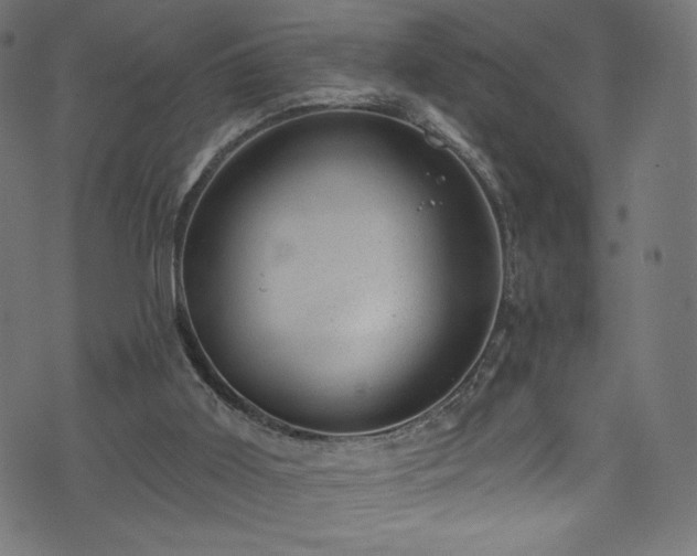 X0000074040011200608281456