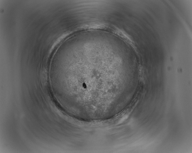 X0000074040012200608281456