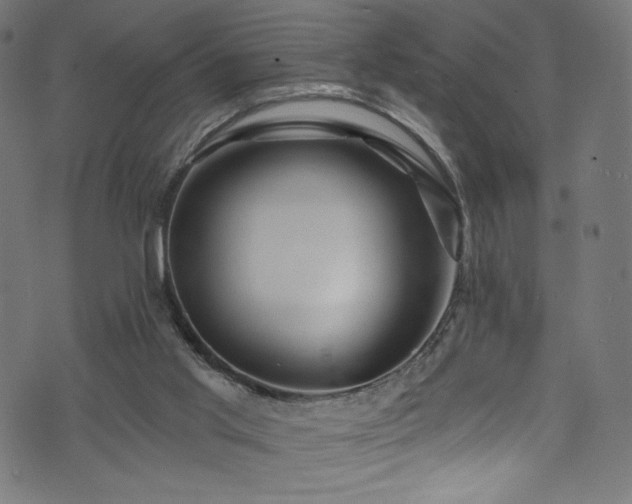 X0000074040013200608281456