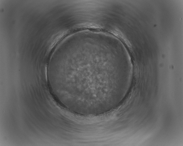 X0000074040014200608281456