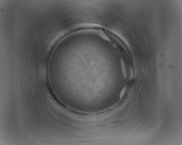 X0000074040015200608281456