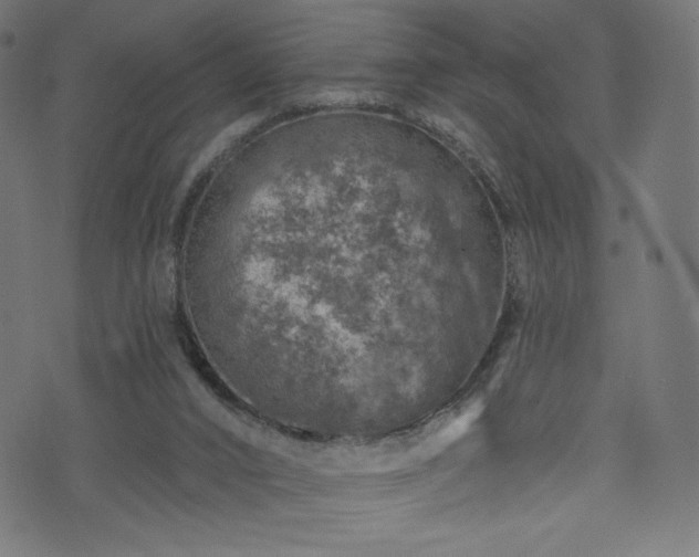 X0000074040016200608281456