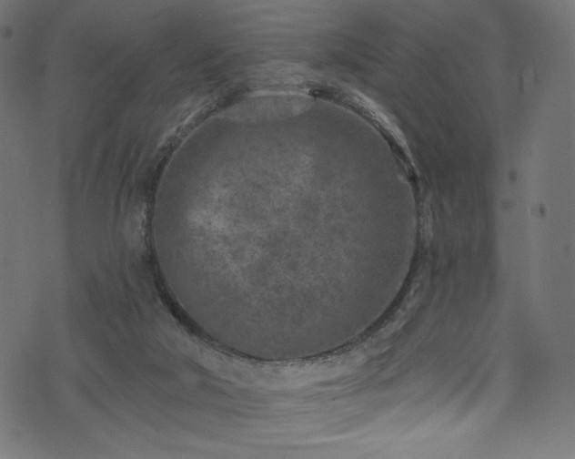 X0000074040018200608281456