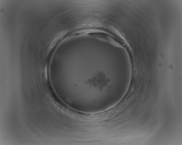 X0000074040019200608281456