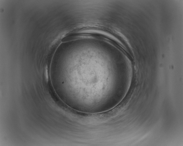 X0000074040020200608281456