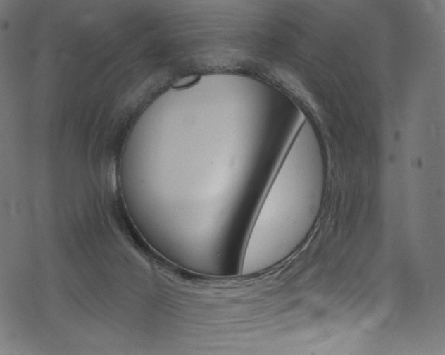 X0000074040021200608281456