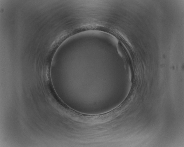 X0000074040023200608281456