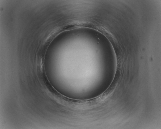 X0000074040024200608281456