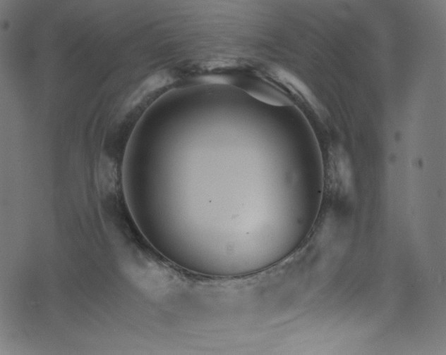 X0000074040025200608281456