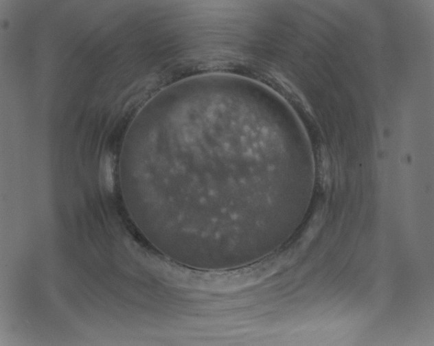 X0000074040026200608281456