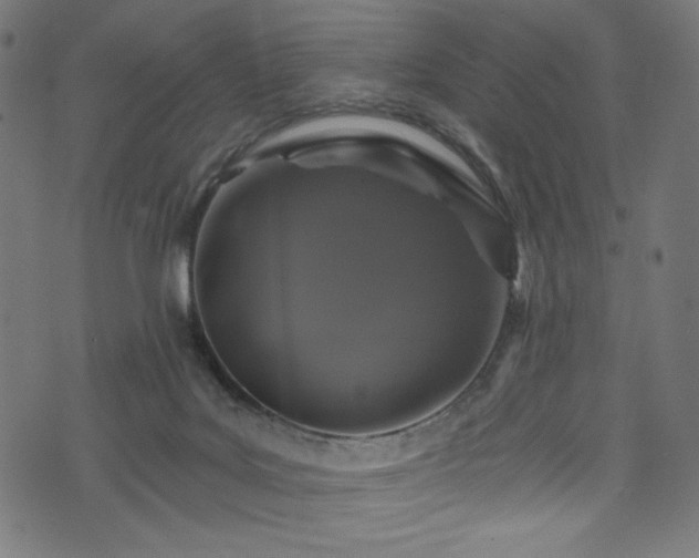 X0000074040027200608281456