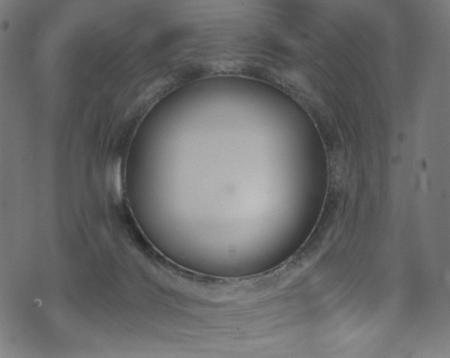 X0000074040028200608281456