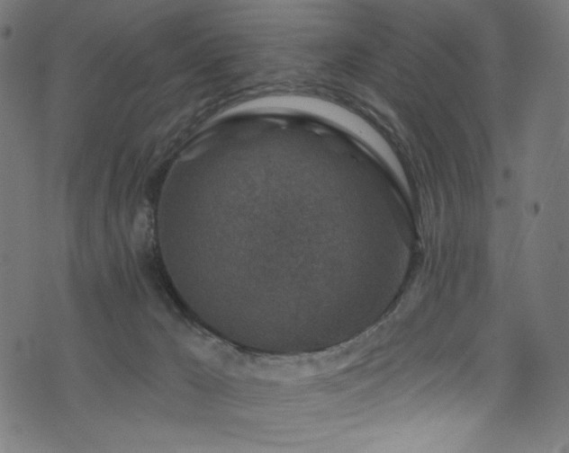 X0000074040029200608281456