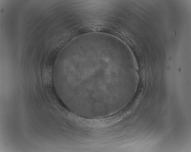 X0000074040030200608281456