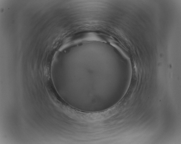 X0000074040031200608281456