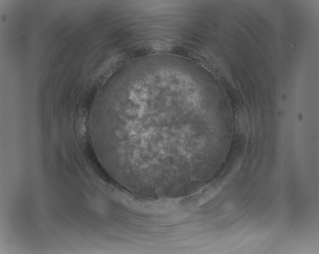 X0000074040032200608281456