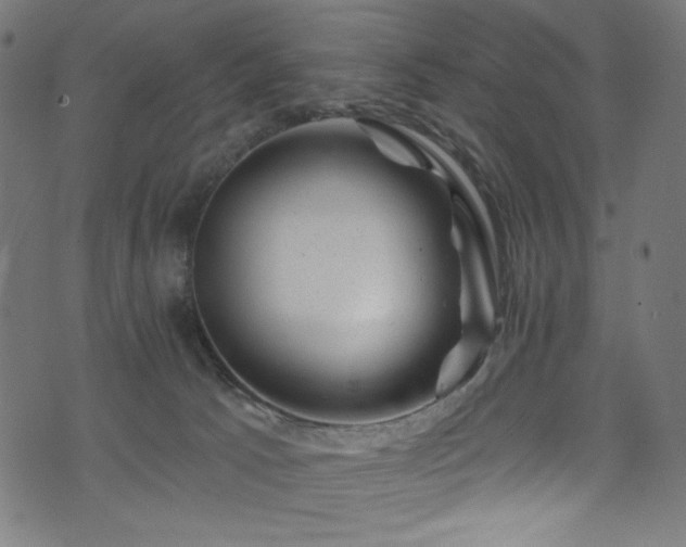 X0000074040033200608281456