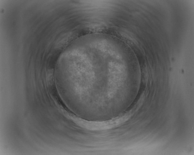 X0000074040034200608281456