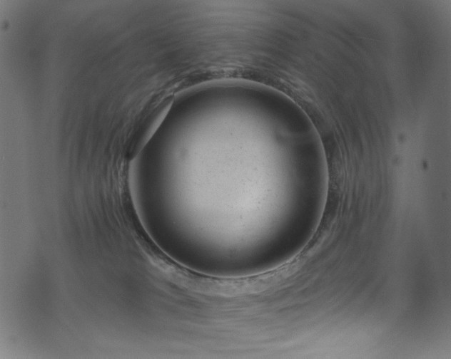 X0000074040037200608281455